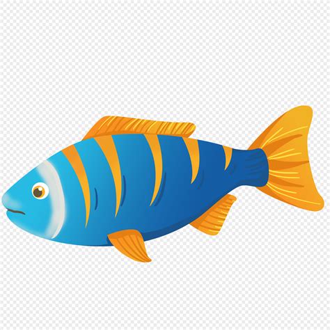 魚的圖案